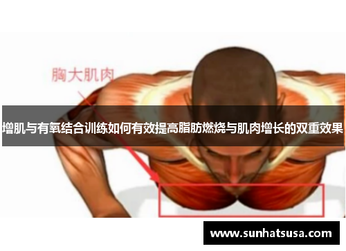 增肌与有氧结合训练如何有效提高脂肪燃烧与肌肉增长的双重效果