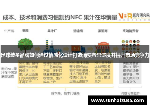 足球装备品牌如何通过情感化设计打造消费者忠诚度并提升市场竞争力