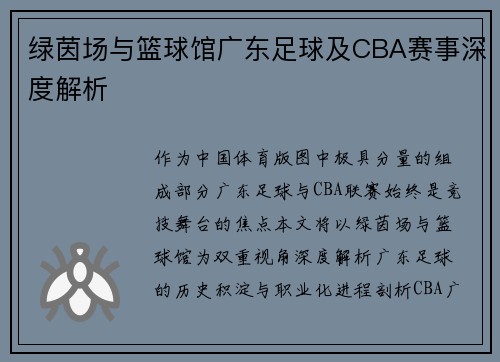 绿茵场与篮球馆广东足球及CBA赛事深度解析